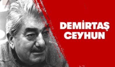 Asya / Demirtaş Ceyhun (Kitap İncelemesi ve Özeti)