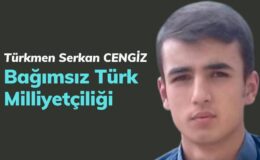 Bağımsız Türk Milliyetçiliği