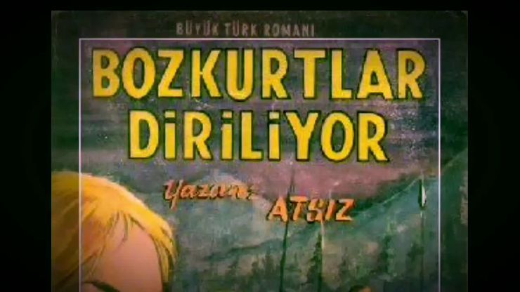 Bozkurtlar Diriliyor – Hüseyin Nihâl Atsız Özet ve İncelemesi