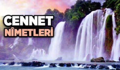 Cennet, Cennet Nimetleri ve Cennetliklerin Sıfatı
