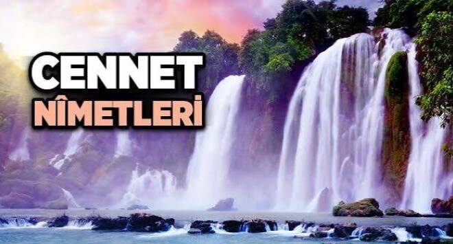 Cennet, Cennet Nimetleri ve Cennetliklerin Sıfatı