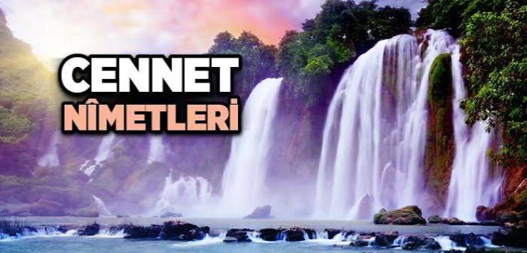 Cennet, Cennet Nimetleri ve Cennetliklerin Sıfatı