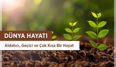 Dünyaya Aldanmamak ile İlgili Hadis-i Şerif ve Açıklaması