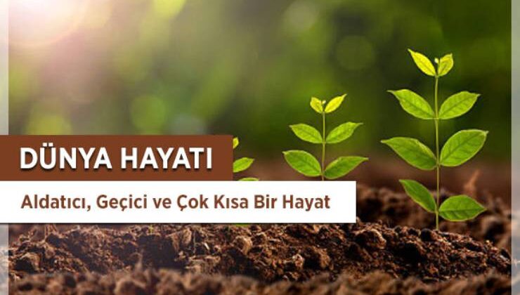 Dünyaya Aldanmamak ile İlgili Hadis-i Şerif ve Açıklaması