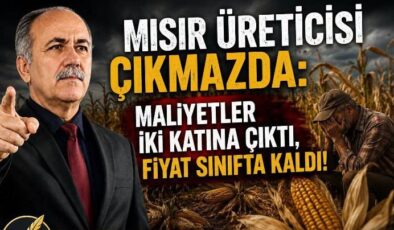 Mısır Üreticisi Çıkmazda Maliyetler İki Katına Çıktı, Fiyat Sınıfta Kaldı!