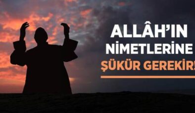 Nimetler ve Sıkıntılar Karşısında İnsanın Tutumu İle İlgili Ayetler
