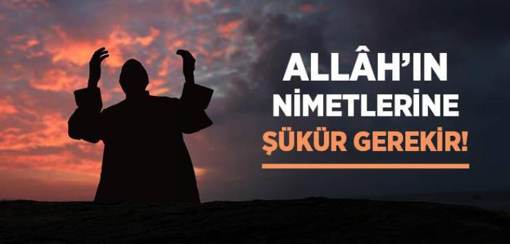 Nimetler ve Sıkıntılar Karşısında İnsanın Tutumu İle İlgili Ayetler