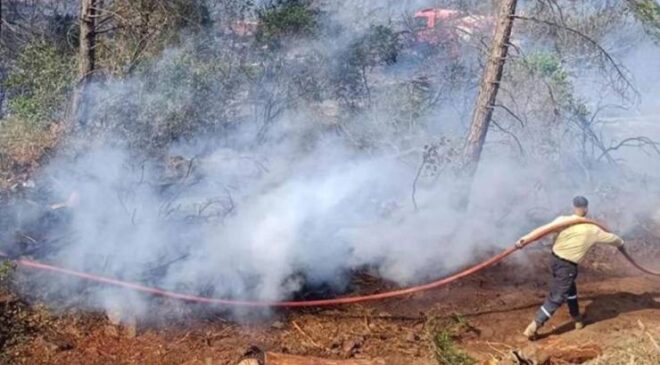 Orman Yangınlarına Soruşturma: 6 Tutuklama