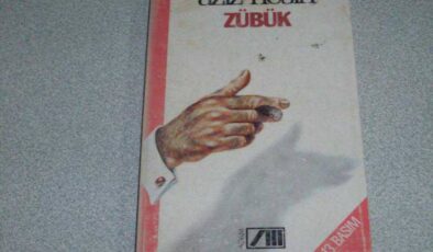 Zübük / Aziz Nesin (Kitap İncelemesi ve Özeti)