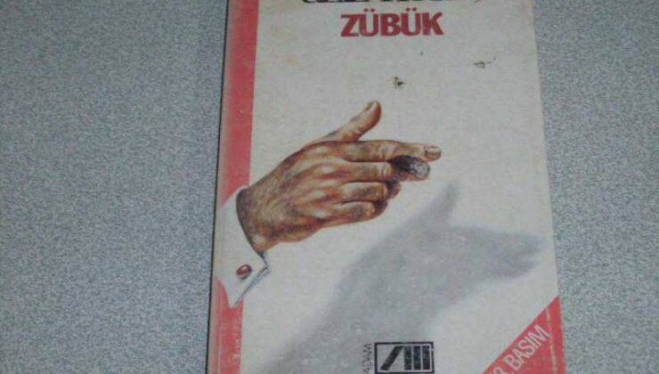 Zübük / Aziz Nesin (Kitap İncelemesi ve Özeti)