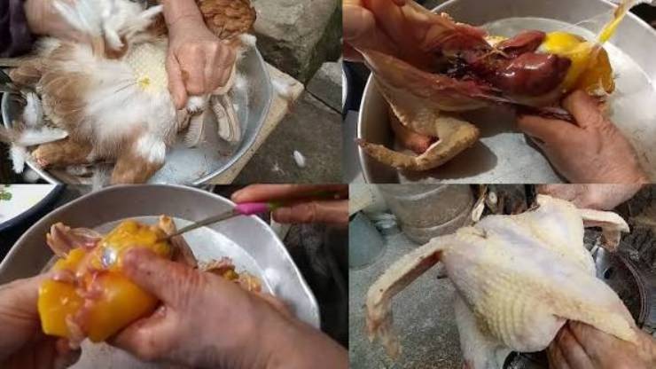 Kesilen Tavuğun Servis Tabağına Yerleştirilmesi
