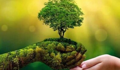 Her Yeşil Gerçekten Yeşil midir?