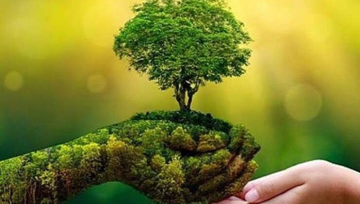 Her Yeşil Gerçekten Yeşil midir?